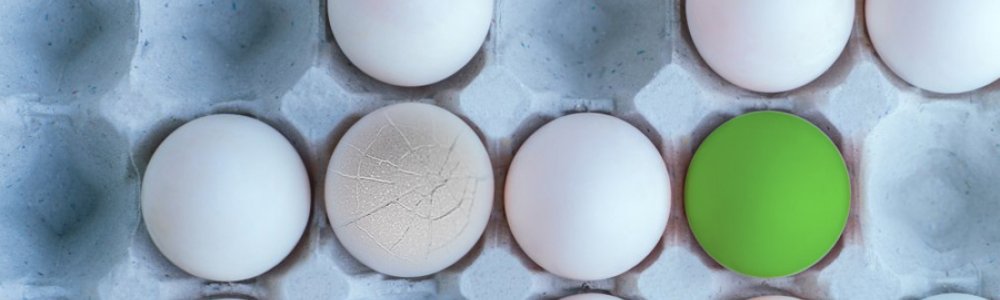 Not All Eggs Are Created Equal – Same For Floor Panels